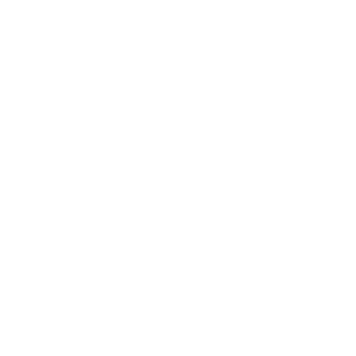 softwareSolutions